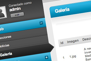 Gestor de continguts
